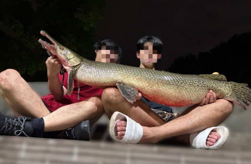 吃掉228公園吉祥物後續延燒　成大釣魚社前幹部被挖出爭議紀錄、北市府開罰2釣客各罰3600元揭不移除原因