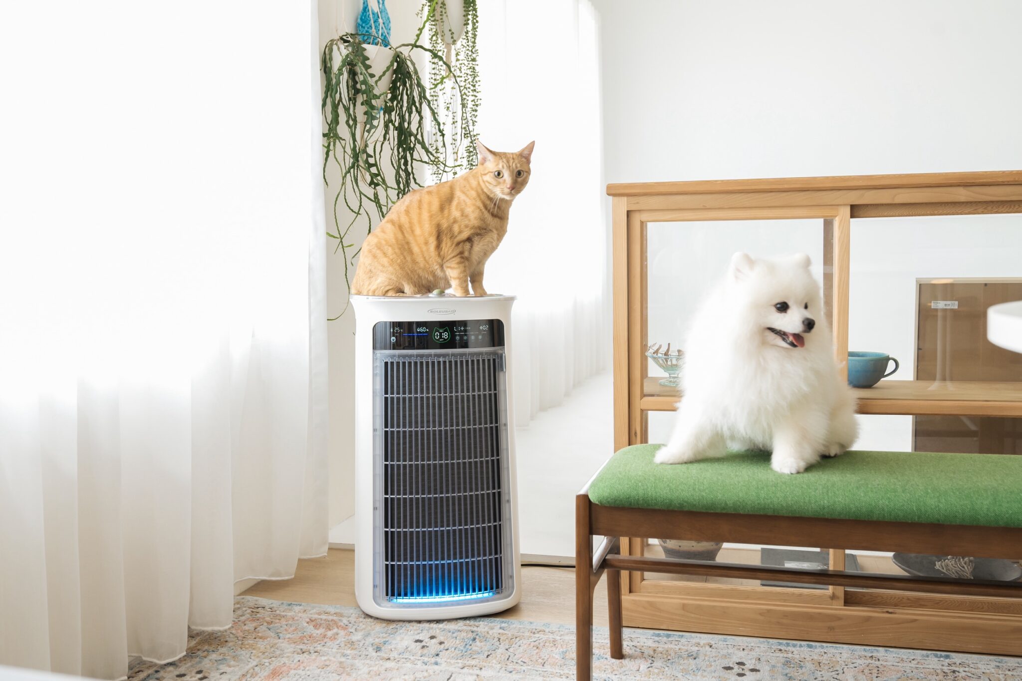 美國熱賣潮席捲台灣！吸毛大師 SoleusAir 首登台北寵物展 99.9%除毛力征服亞洲毛爸媽