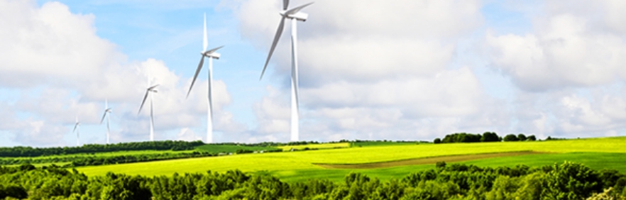 信立5月業績強勢改寫近20年來單月新高 年增385.59％