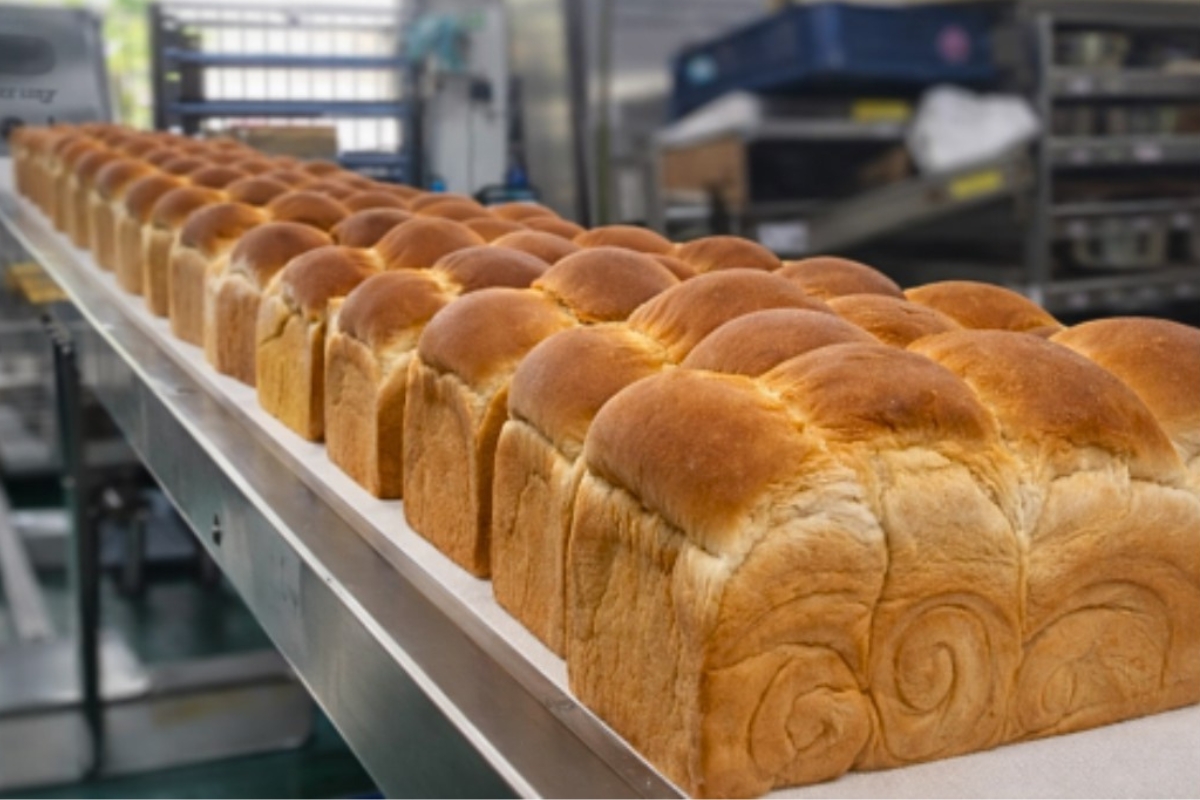 很多早餐店吐司其實來自這裡 高雄吐司批發隱藏版 蛋黃酥成團購爆款
