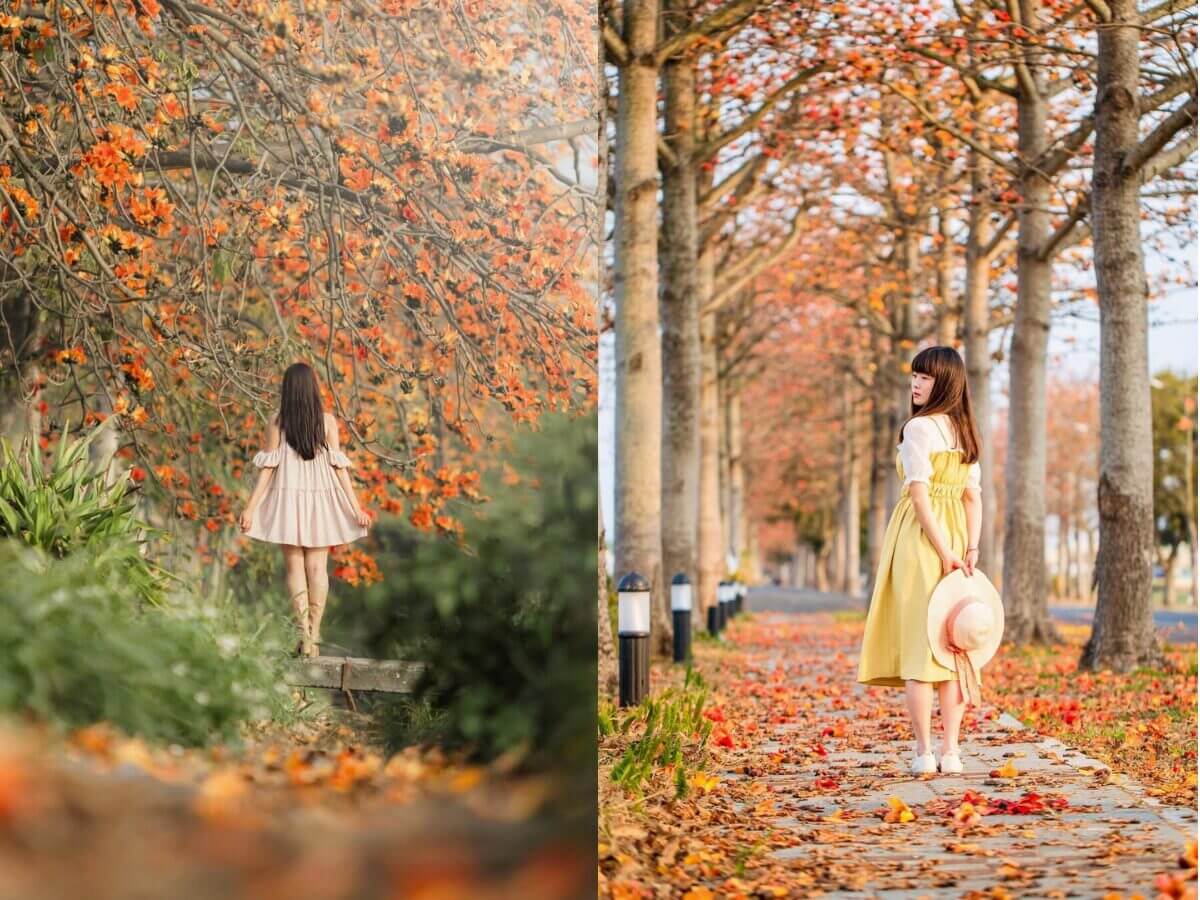 全台 6 大浪漫木棉花景點推薦|春天情侶約會必去 林初埤木棉花道、東螺溪木棉花道