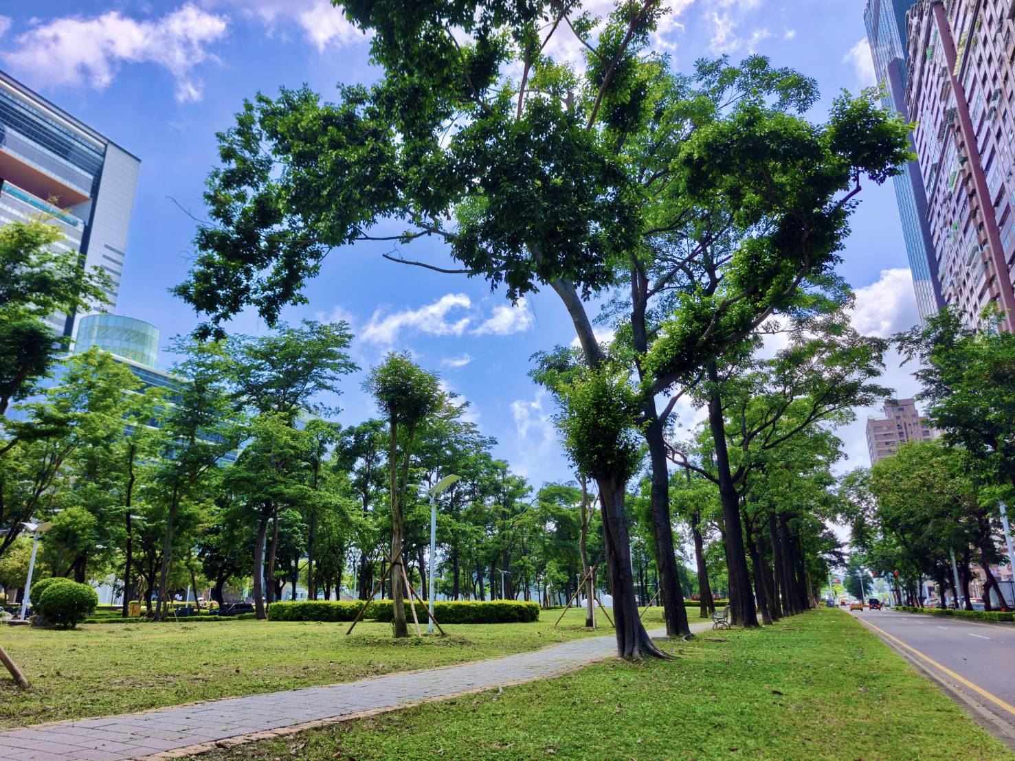 休閒與景觀全面升級！高雄市亞灣新光園道改善8月完工　颱風重創後華麗轉身