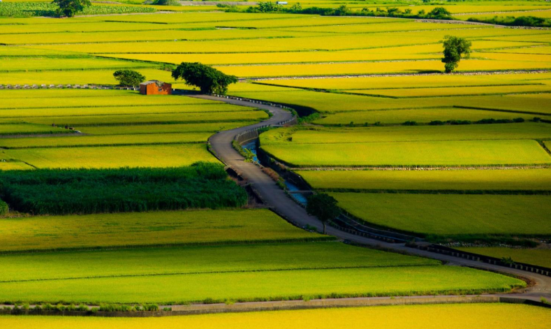 臺南釋出114年第1批市有耕地　市長黃偉哲再出招助攻青農返鄉夢