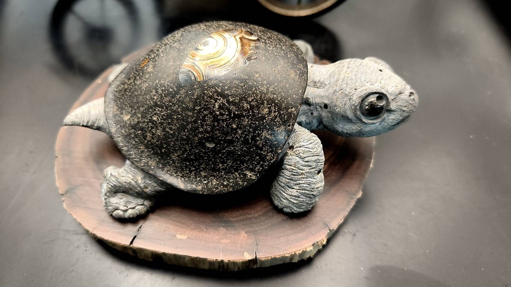 澎湖石友會會員聯展「石藝共賞」將於11月30日開幕