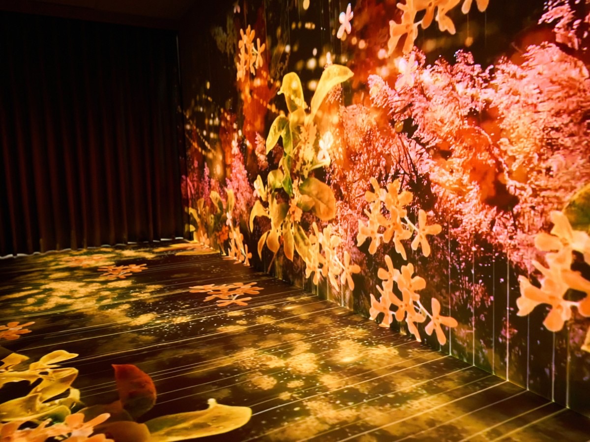 5G以大帶小加速中小企業轉型！經濟部中企署協助8,700家導入科技方案　打造跨域獲利新模式