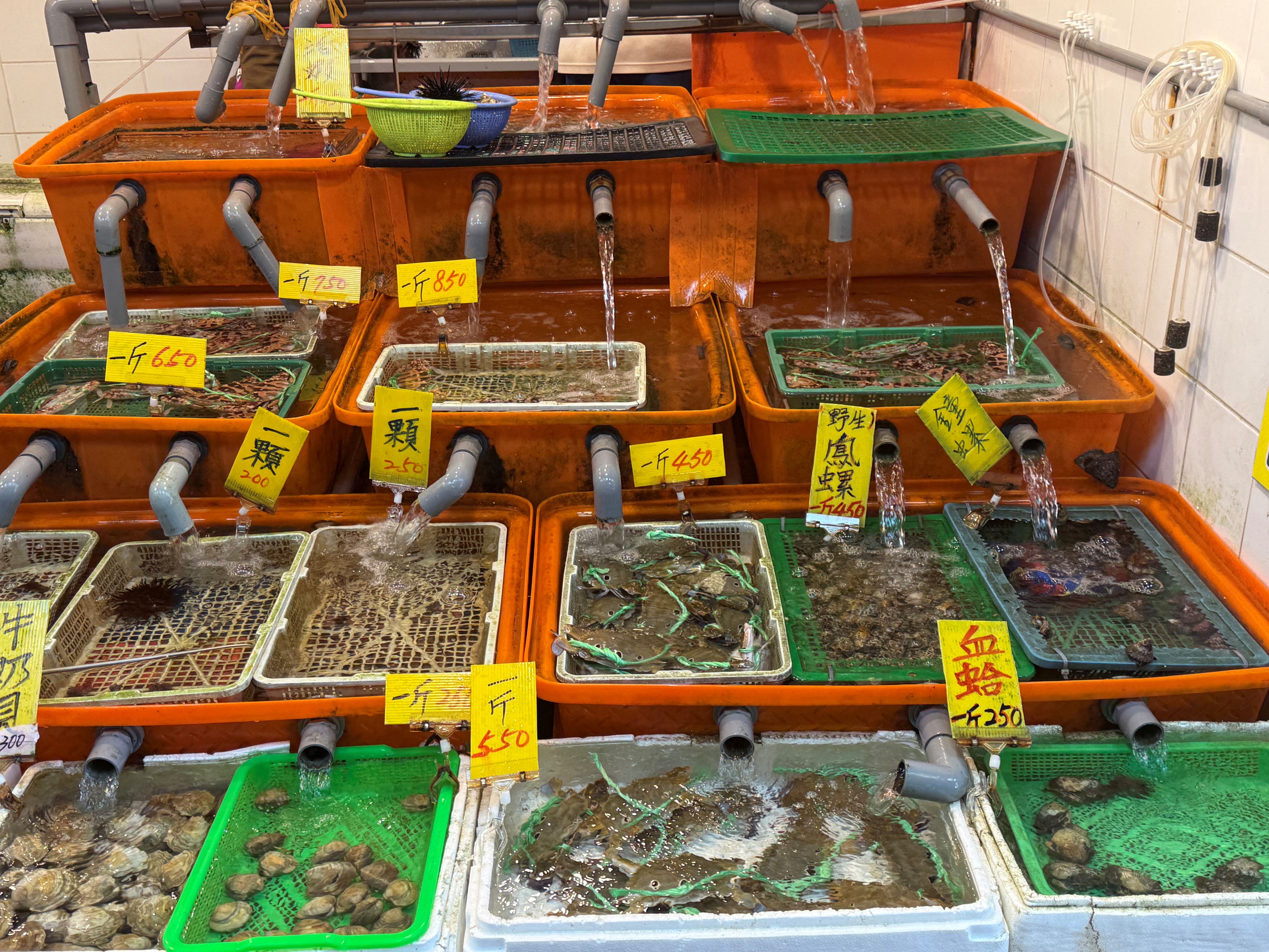 新北萬里蟹季進入尾聲 龜吼漁夫市集邀民眾把握最後品蟹機會 體驗漁港直送的海鮮魅力