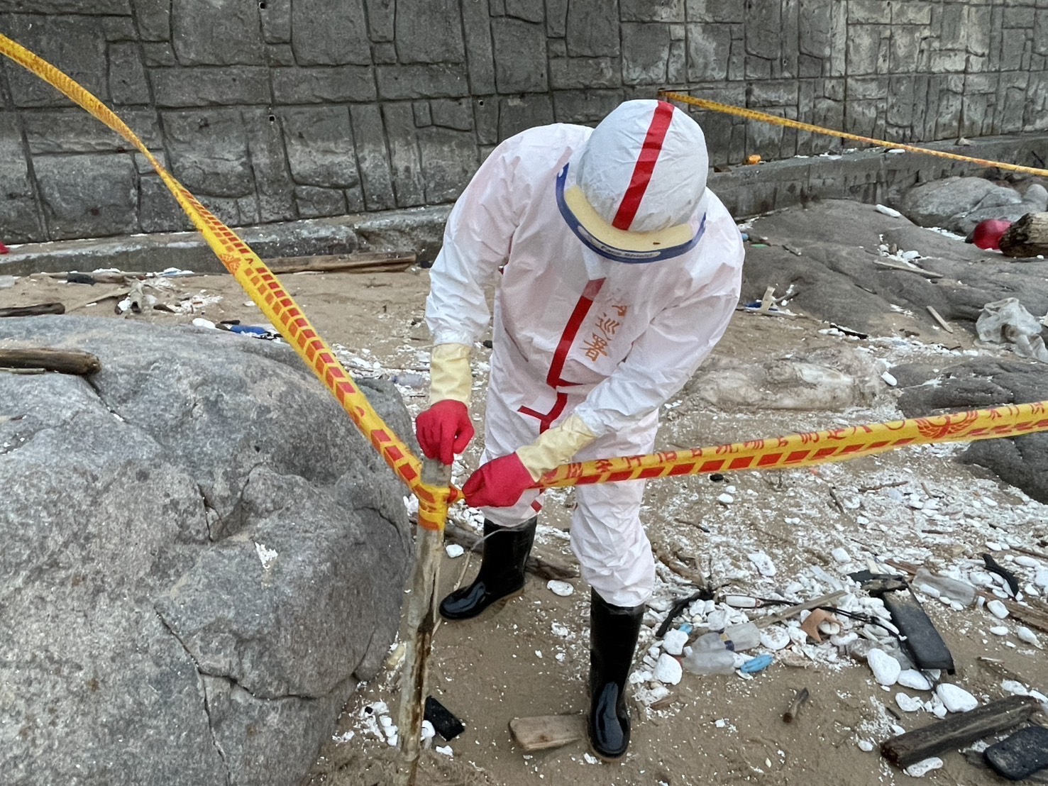 防疫如作戰!海巡署嚴守國門防疫總動員 馬祖北竿海漂豬事件即啟動應變機制