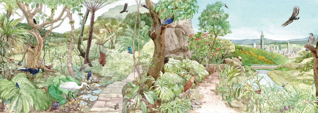 從日間飛蝶到夜晚蛙鳴　白天黑夜都精彩的臺北淺山生態摺頁描繪城市與自然共生的秘密世界