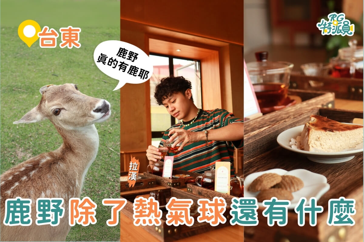 台東親子一日遊|來鹿野不只有熱氣球可以玩 超療癒行程3大景點推薦