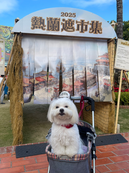 文化景點也寵物友善！來臺南與毛寶貝同遊，參加抽獎贏大獎！