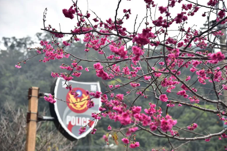 丟警界顏面！臺中「最美派出所」所長勤務時飲酒 被記過拔官