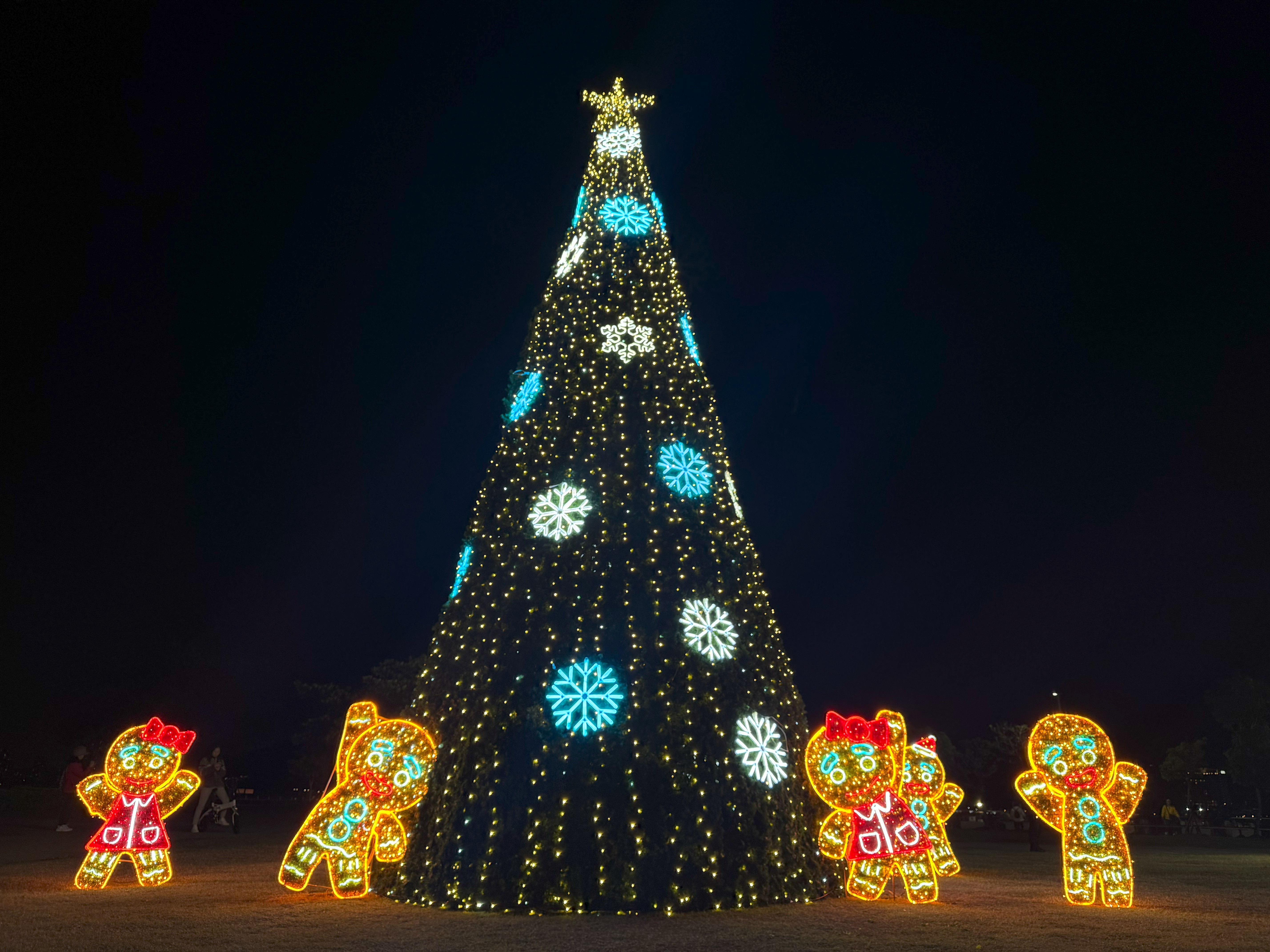 迎接聖誕與跨年氛圍　新北市淡水金色水岸六大主題光雕12月20日亮燈吸引民眾朝聖