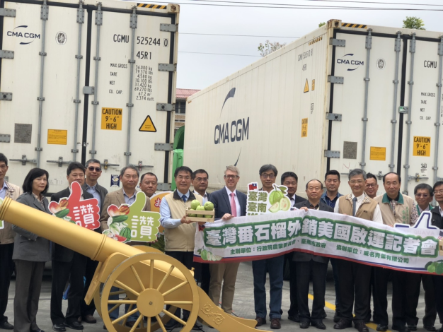 臺南芒果、芭樂獲歐盟開放進口！中央與臺南市府通力合作促外銷突破
