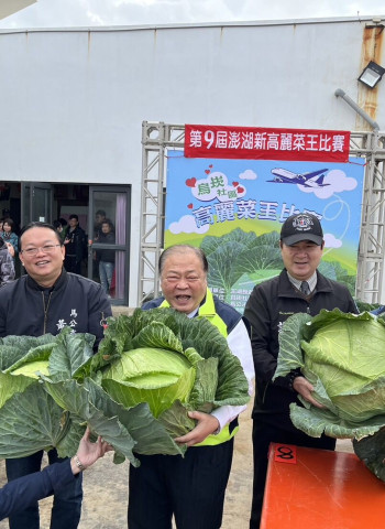第9屆「澎湖新高麗菜王」誕生！巨無霸19.1台斤震撼全場，烏崁高麗菜魅力無法擋！