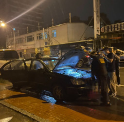 海巡署持續肅槍掃蕩不停歇　對槍枝犯罪採零容忍政策守護社會治安