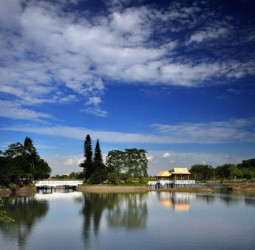 馬到成功迎新春玩臺南春節樂購遊，新化年貨大街、虎頭埤、奇美博物館一次滿足