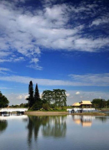 馬到成功迎新春玩臺南春節樂購遊，新化年貨大街、虎頭埤、奇美博物館一次滿足