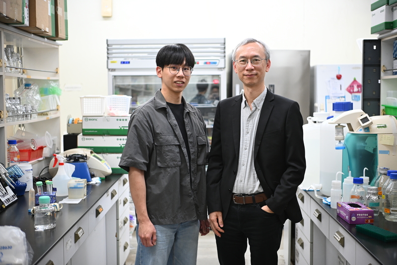 中正大學跨國研究再創新突破　陳永恩教授與博士生徐伯彥揭示精準預測特定化療藥物心臟副作用風險的新機制