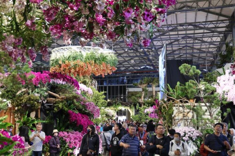 AI花海邂逅春日浪漫　2026臺灣國際蘭展串聯燈會推出婦女節蘭花賞花沉浸式新體驗