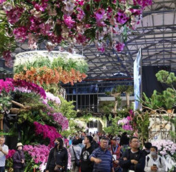 AI花海邂逅春日浪漫　2026臺灣國際蘭展串聯燈會推出婦女節蘭花賞花沉浸式新體驗