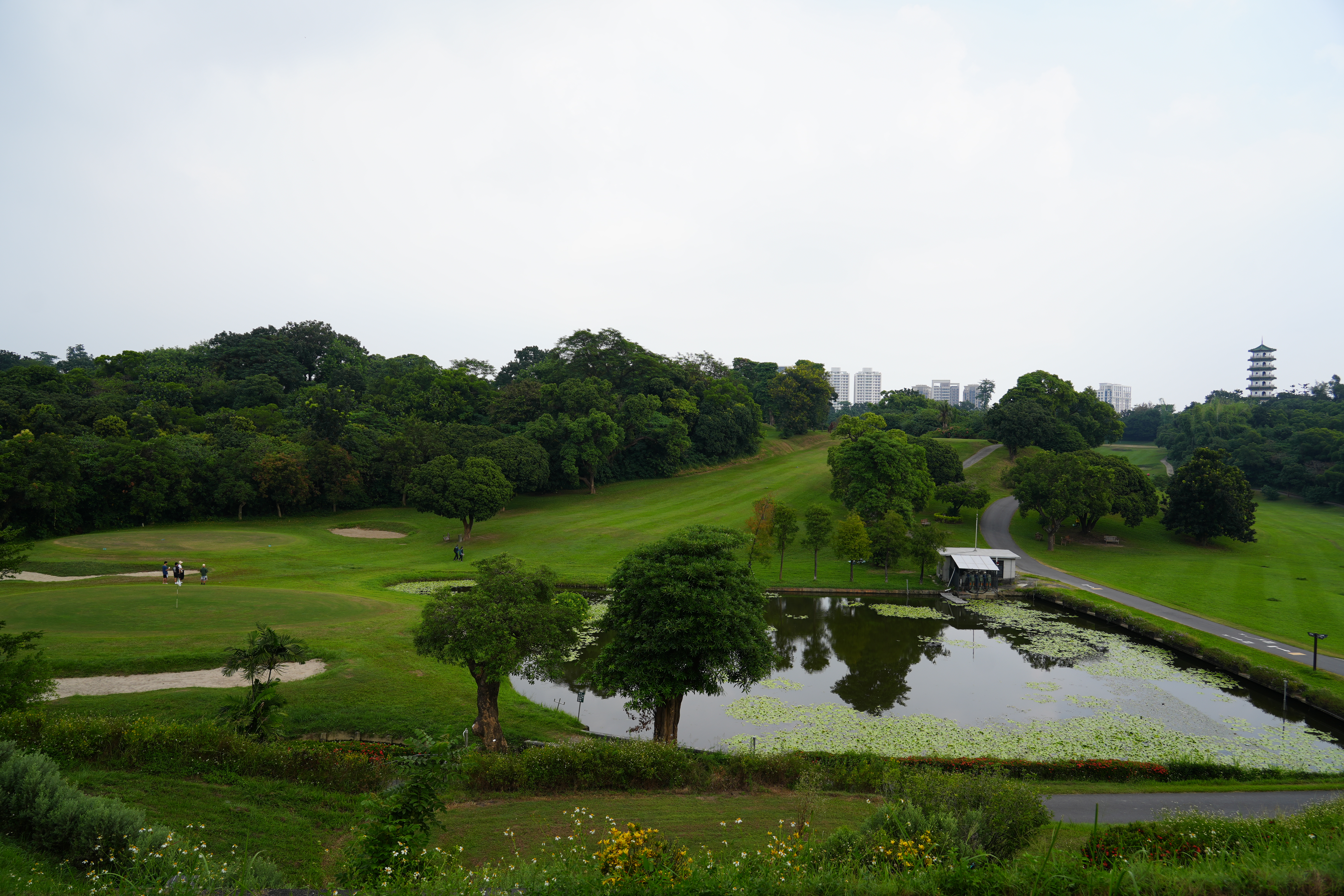 澎湖休憩園區升級取經高雄！林皆興考察自然公園、動物學校　評估民間參與經營