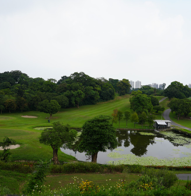 澎湖休憩園區升級取經高雄！林皆興考察自然公園、動物學校　評估民間參與經營